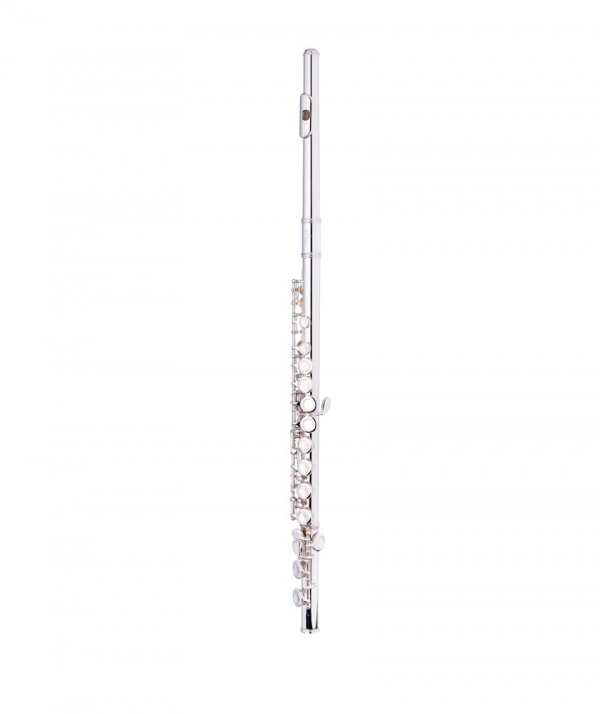 Flute Rental The School of Music Rockville, MD